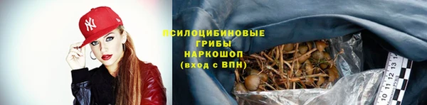 трава Верхний Тагил