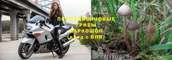 трава Верхний Тагил